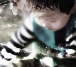 系统优化软件的网站攻击器