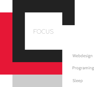 大数据分析的网站攻击器